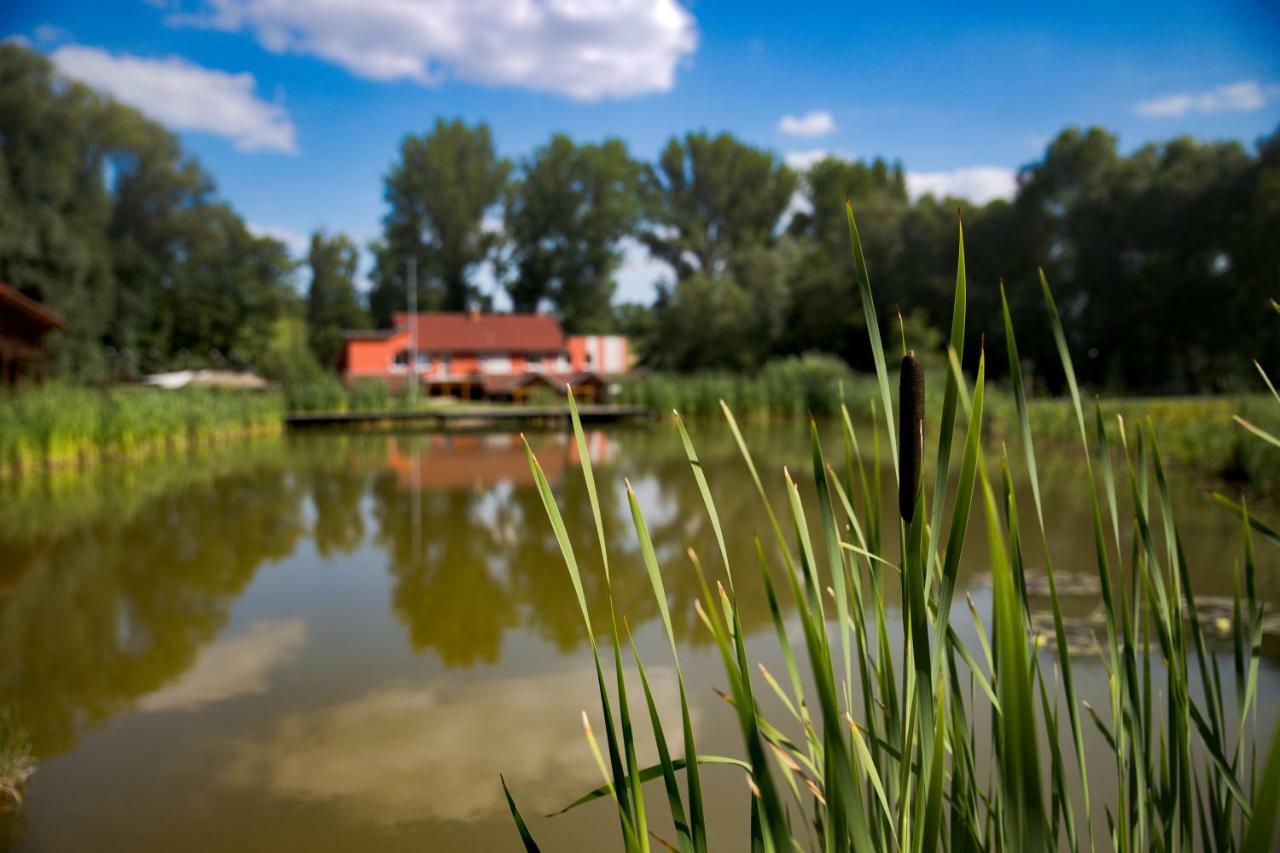 Penzion Amfik Bukovina Popovice  外观 照片